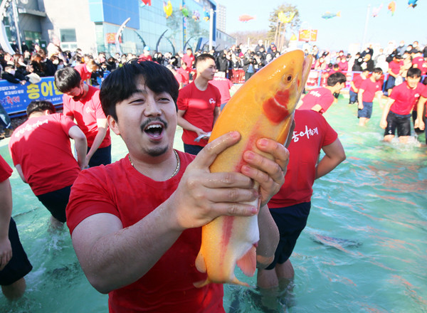 평창송어축제