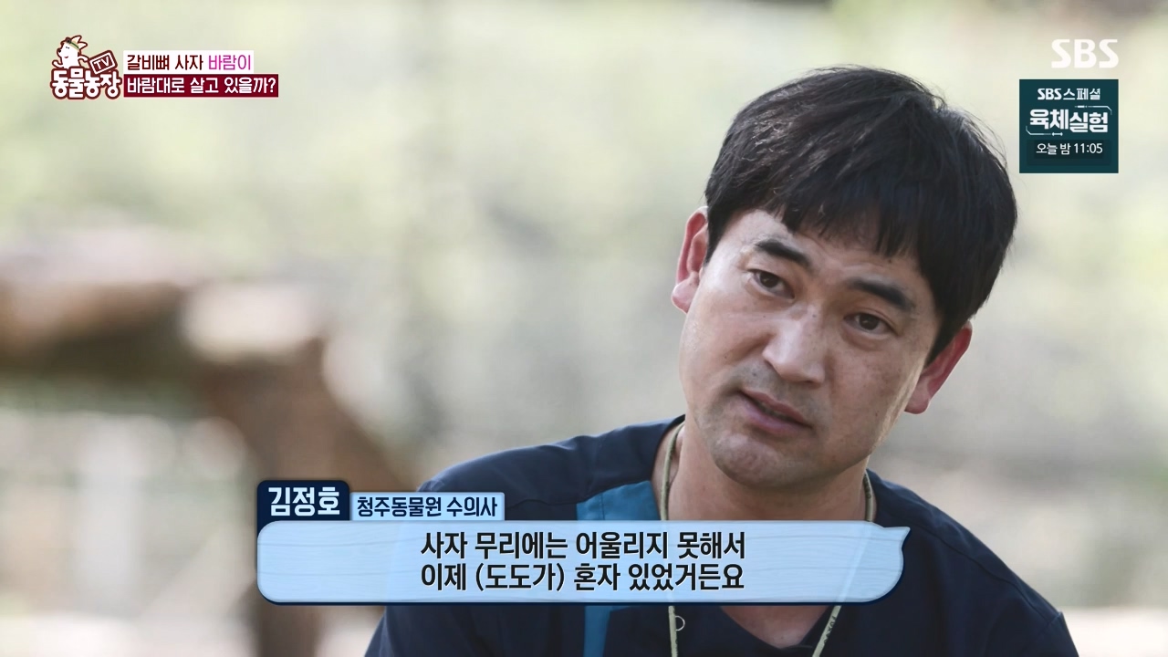 TV 동물농장.E1140.231009p-NEXT.mp4_20231008_174827.231.jpg