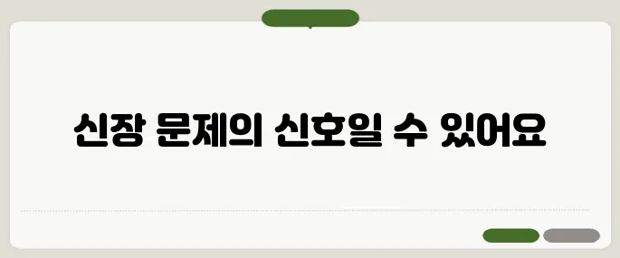 발이 붓는 이유 신장 문제와도 연관돼요