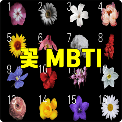 MBTI-꽃