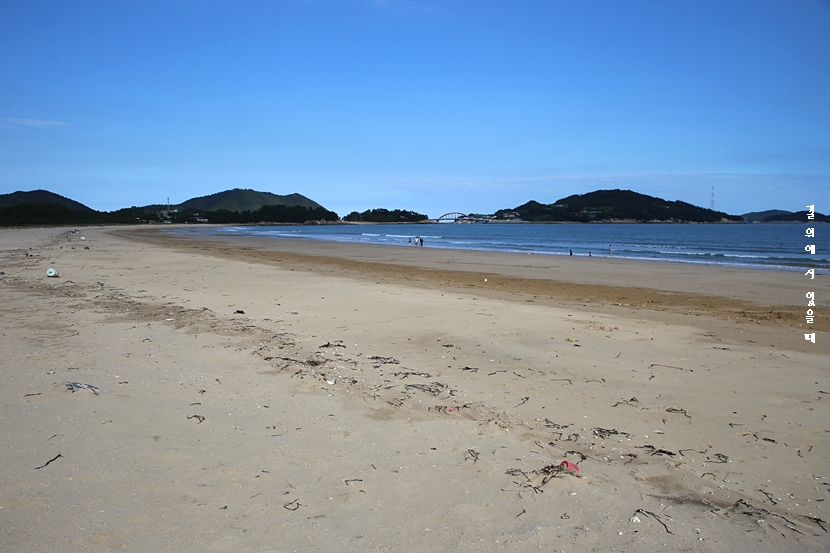 금일해당화해변 이미지