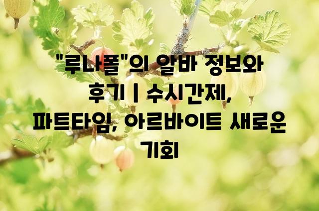 랜덤123