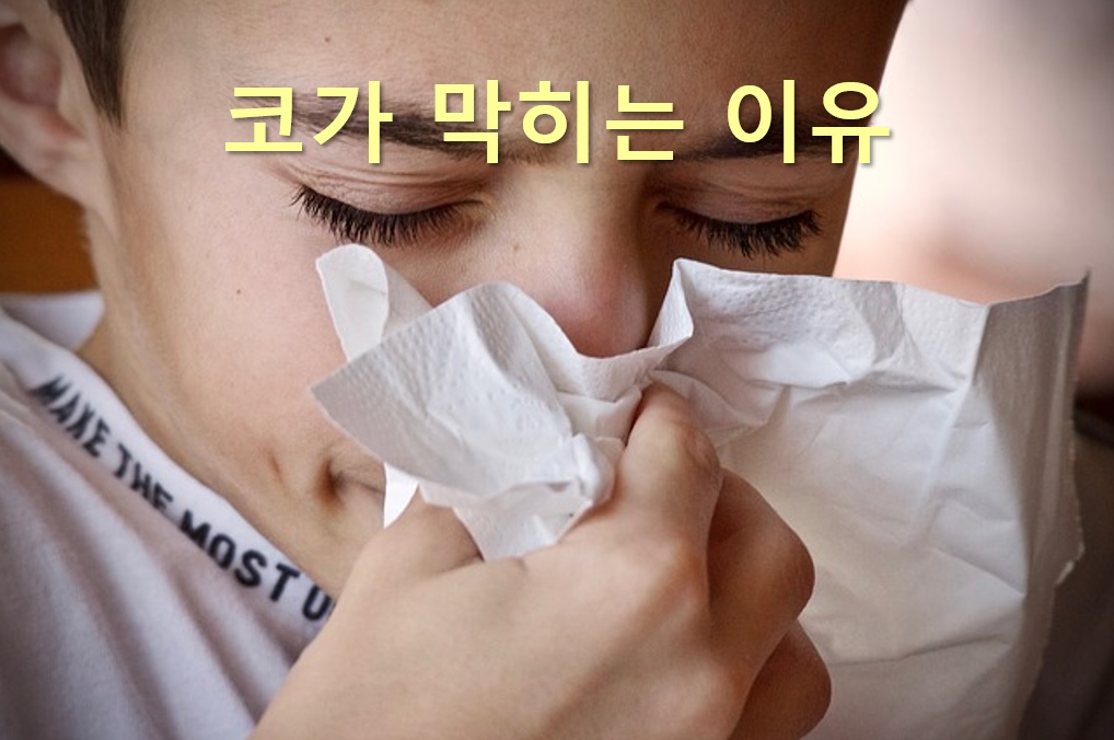  코가 건조할 때 좋은 방법과 코가 막히는 이유