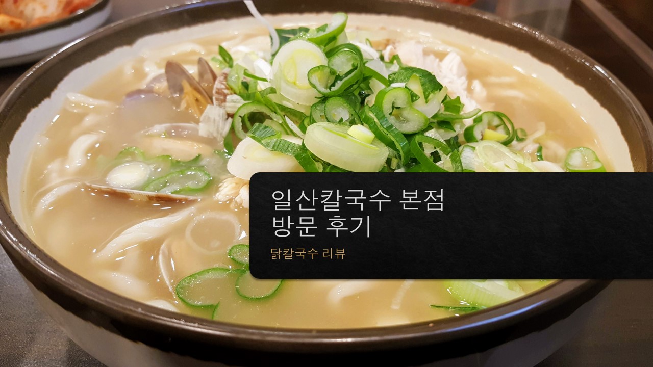  국물 맛이 끝내주는 닭칼국수 맛집, 일산의 명물 :: 일산칼국수 본점 방문 후기, 메뉴, 영업시간 등 단골이 알려주는 꿀팁 리뷰