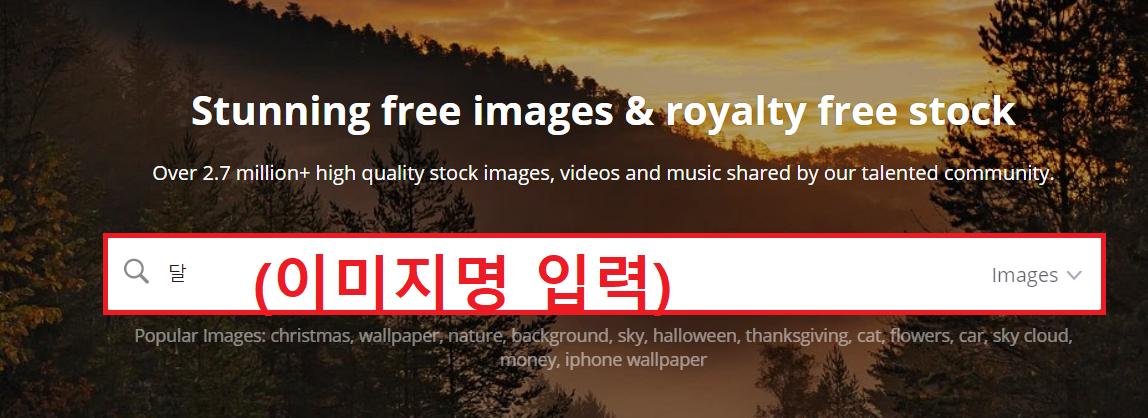  저작권 걱정 없는 무료 이미지 사이트 추천 5가지