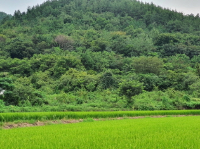 장흥지원2022타경559 부동산표시 1,2번 전경