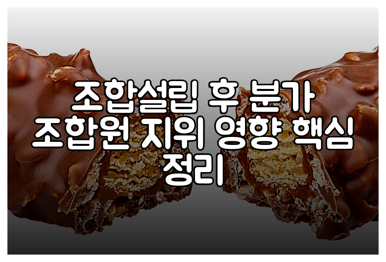 조합설립 후 분가 조합원 지위 영향 핵심 정리