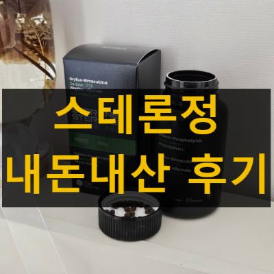 스테론정