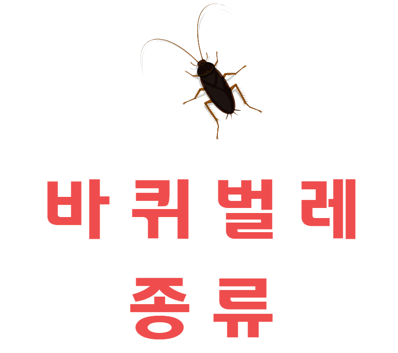  바퀴벌레 종류 알아보자