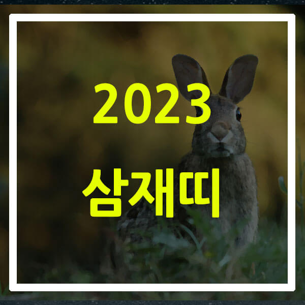 2023년 삼재띠