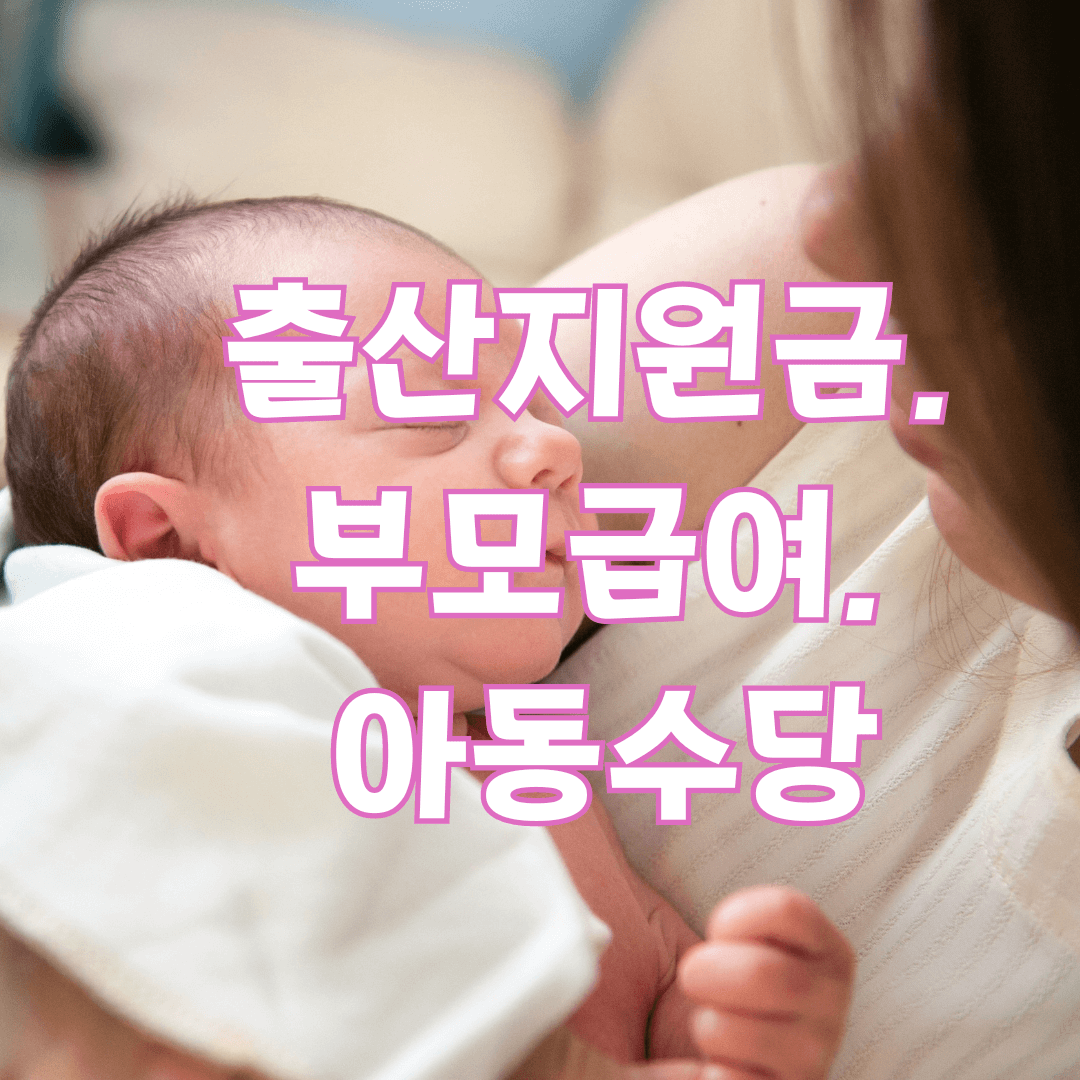 출산지원금