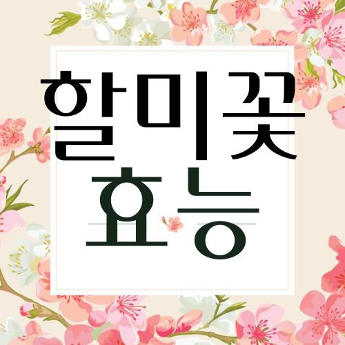 할미꽃 효능