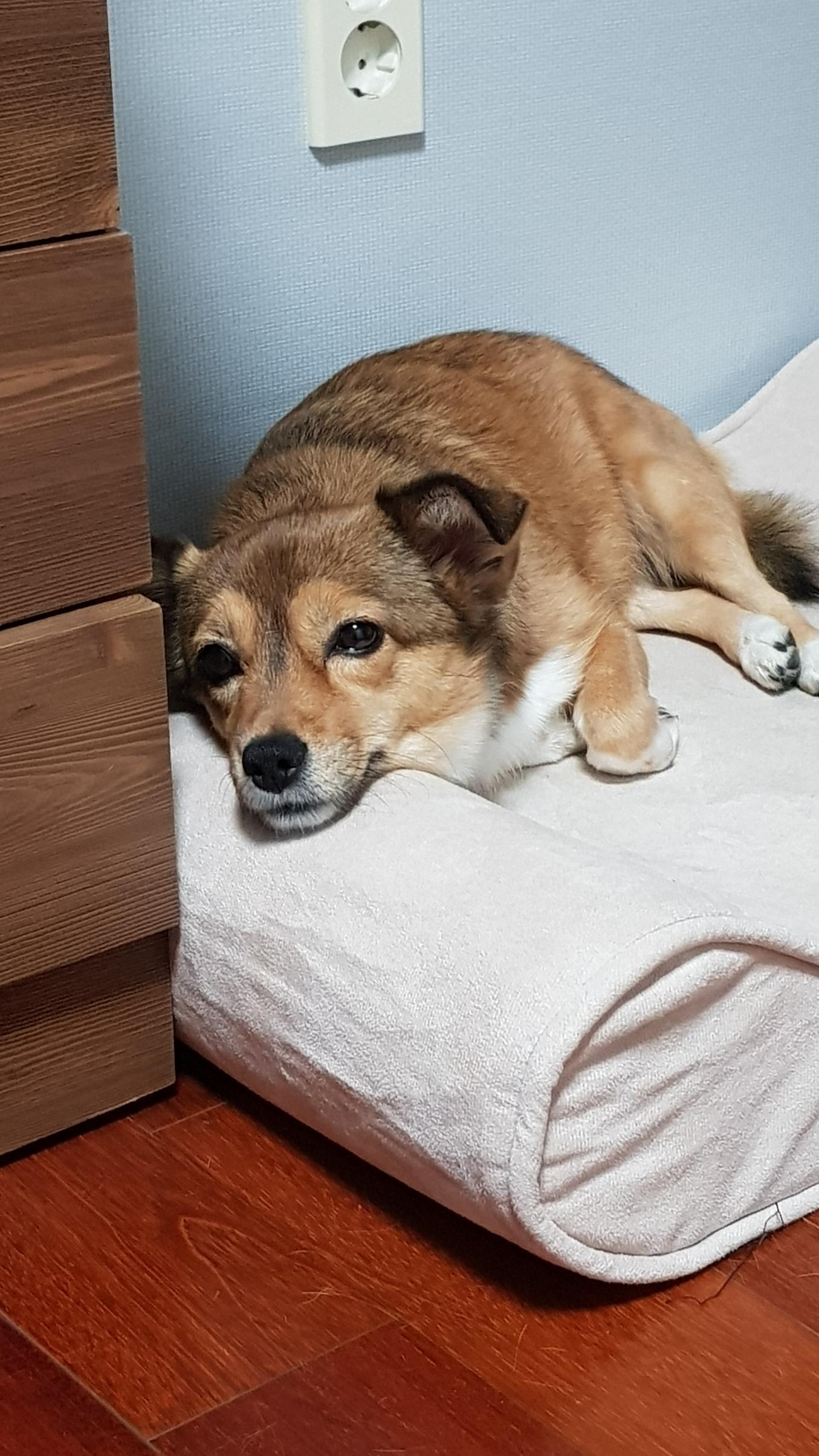  라울이 일상