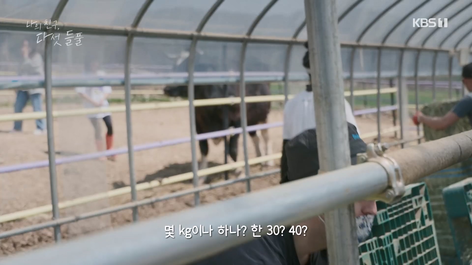 특집 다큐 나의 친구, 다섯 들풀.240119p.H264-F1RST.mp4_20240121_151737.756.jpg