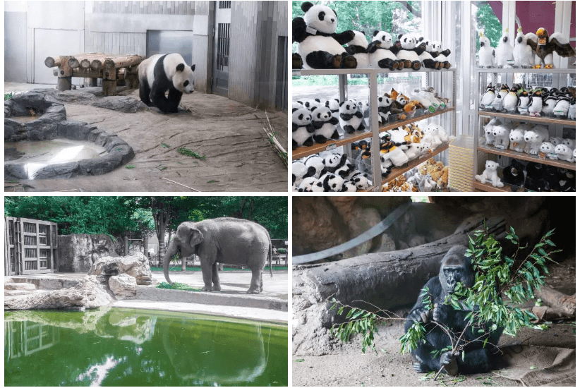 우에노 동물원