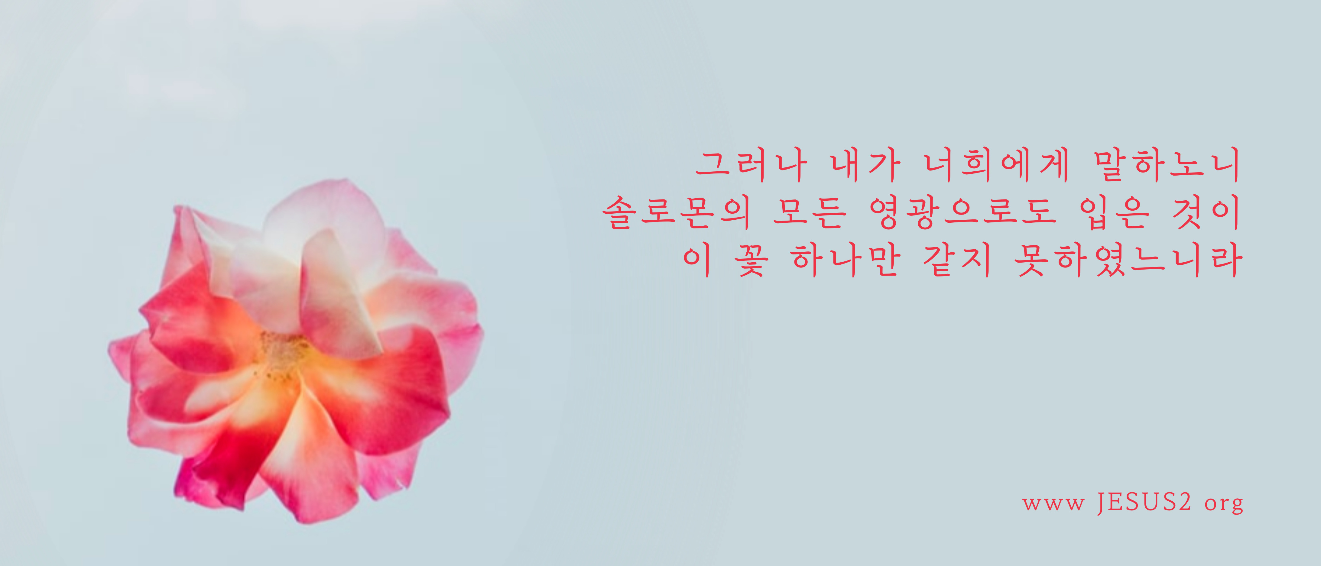  새일교회 난구절특강 | 152. 우리 수도생으로서 긴급히 해야 할 일은 다음과 같다.