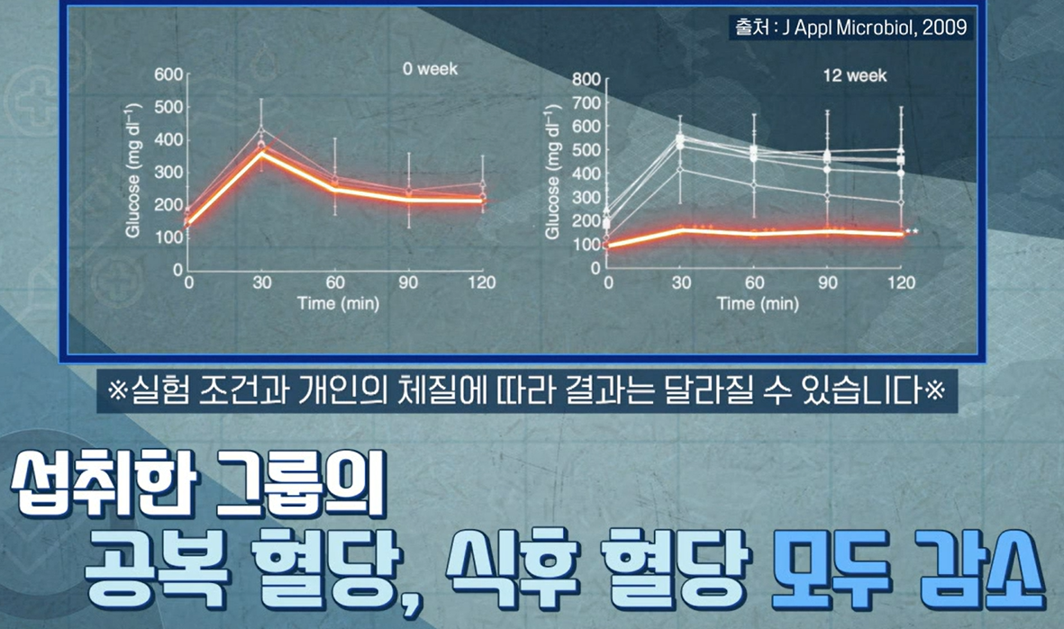 bnr17유산균 효능