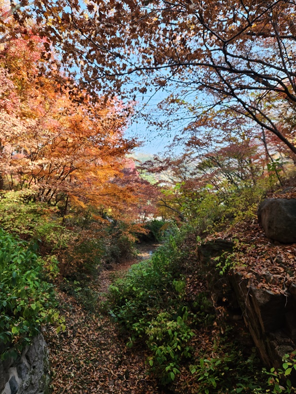 석파정 앞쪽 풍경