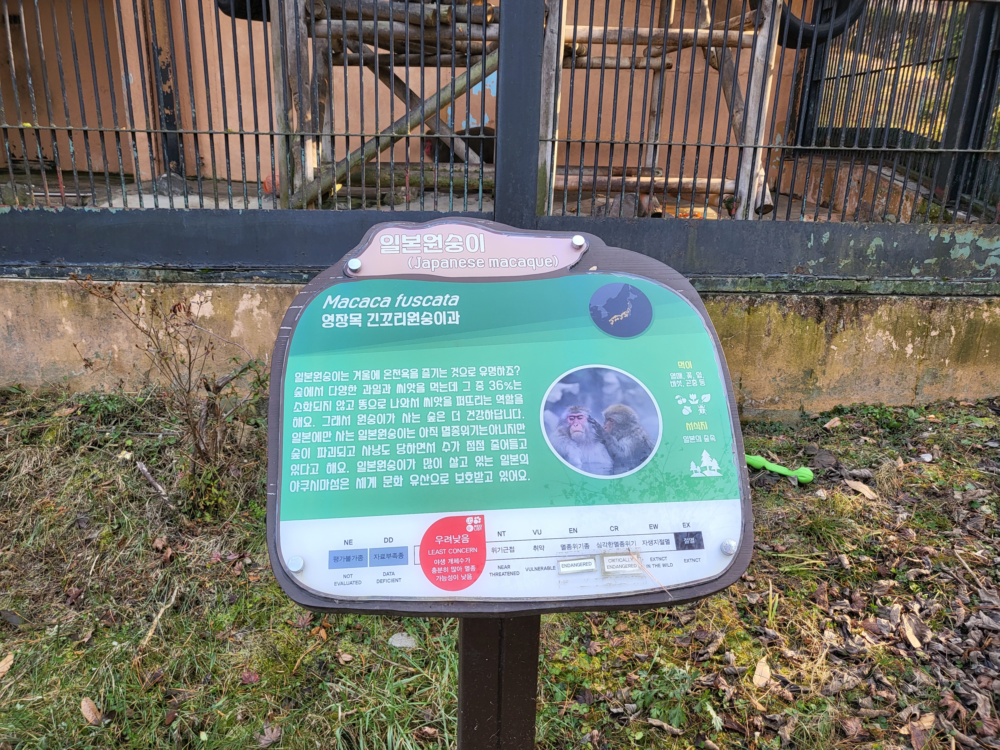 청주 동물원 - 일본원숭이 안내판