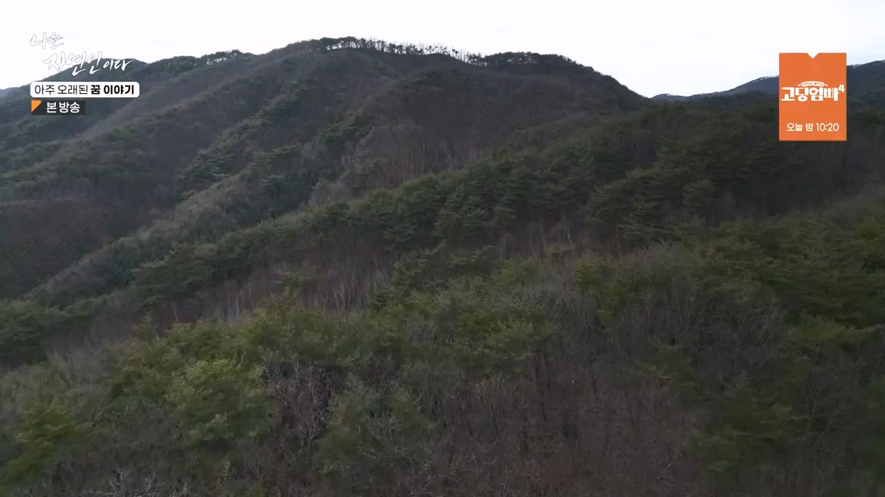 나는 자연인이다.E594.240222p-NEXT.mp4_20240222_195326.642.jpg