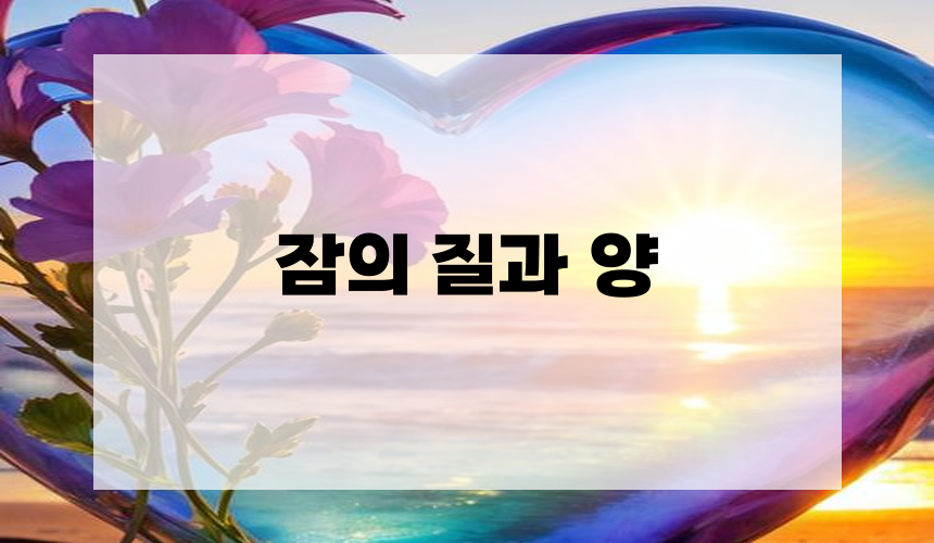 잠의 질과 양