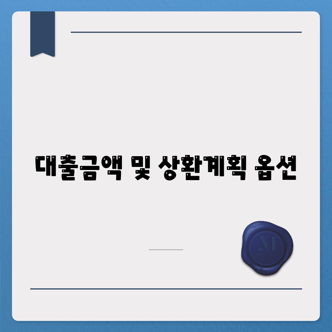 대출금액 및 상환계획 옵션