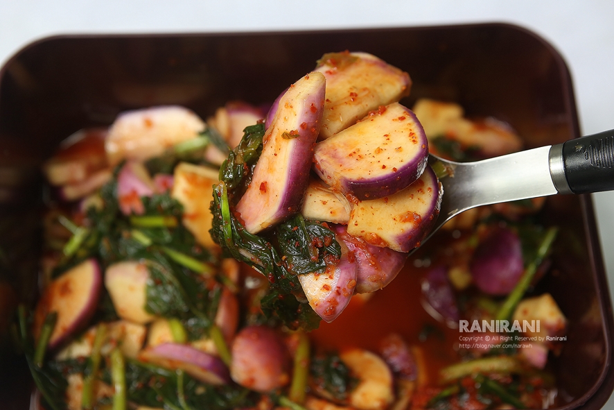 순무김치5kg 주문 택배 8