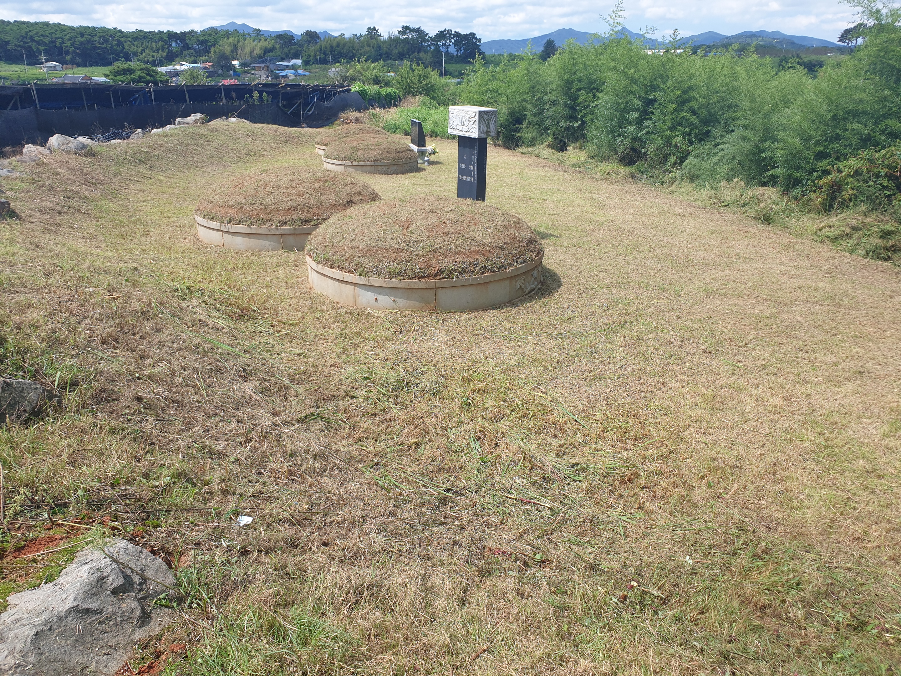  고창군 성내면 대흥리 벌초