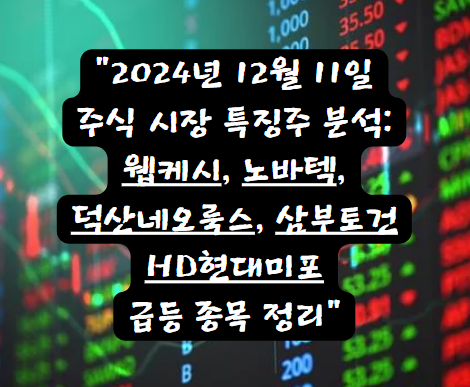 2024년 12월 11일 주식 시장 특징주 분석: 웹케시, 노바텍, HD현대미포 등 급등 종목 정리