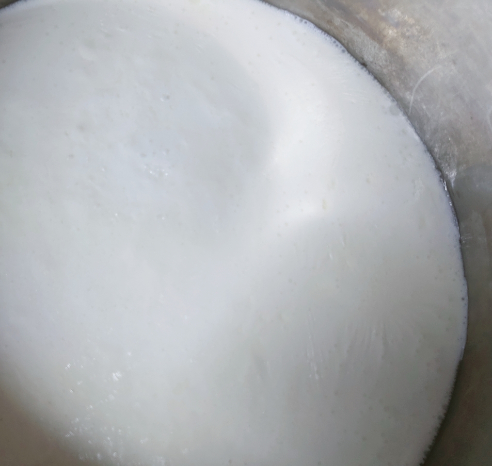 우유가 끓으면서 표면에 얇은 막이 생겼다.
