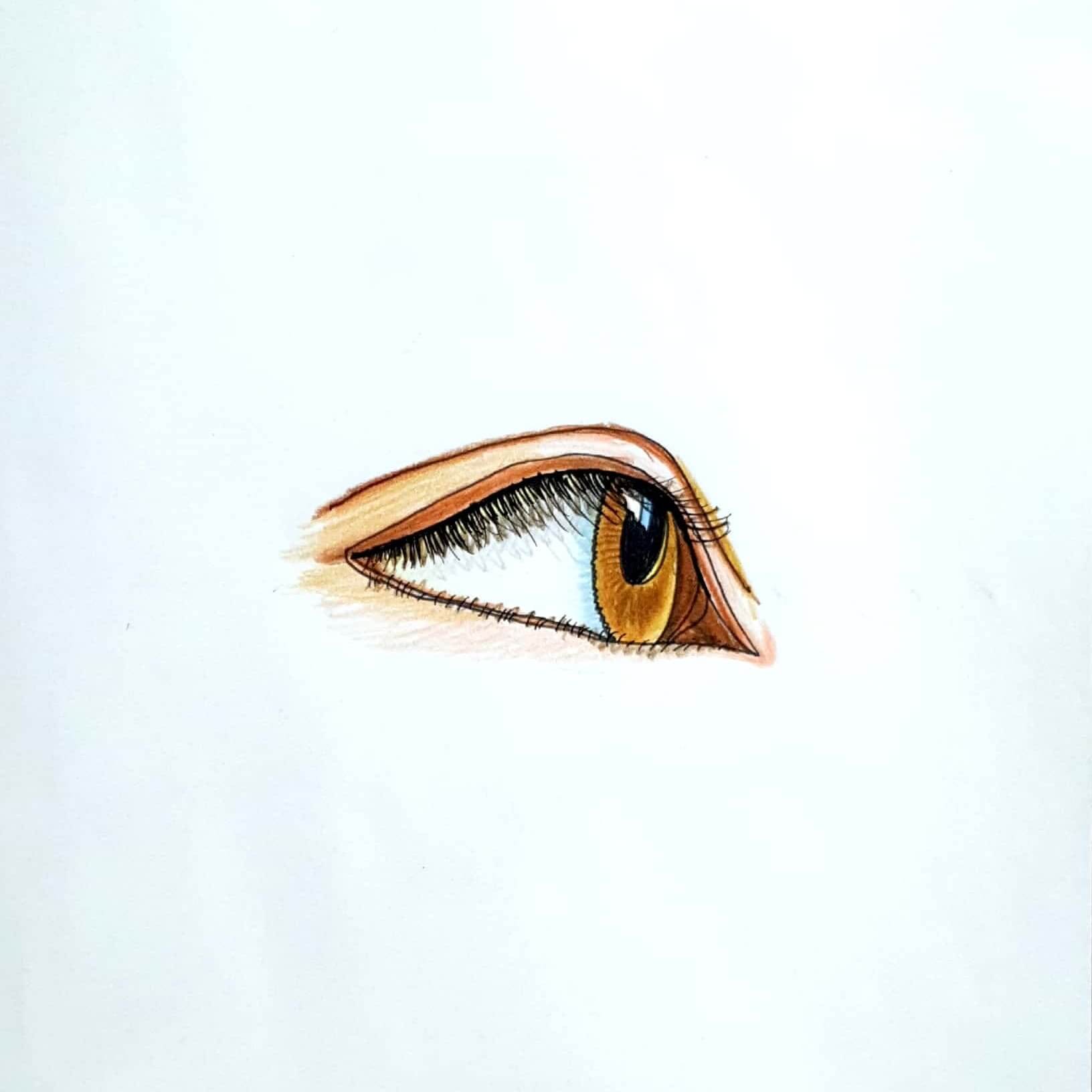 Brown_Eye