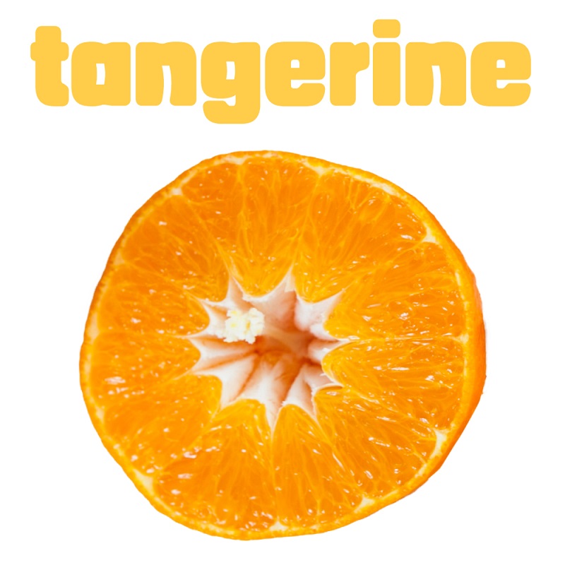 tangerine-귤-단면