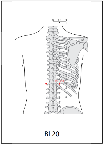 족태양방광경(BL) > BL20 비유 (脾兪) 1