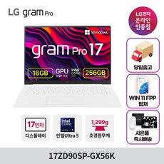 17zd90sp-gx56k 추천