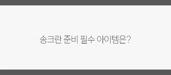 송크란 2025 축제를 위한 물총과 고글 그리고 태국 여행 필수 준비물입니다.