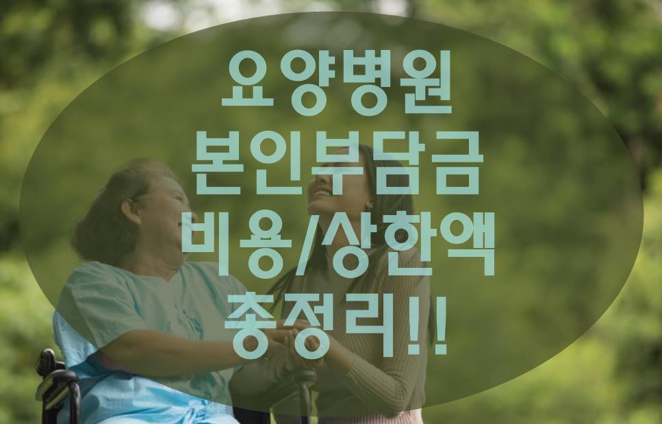 요양병원 본인부담금 상한제