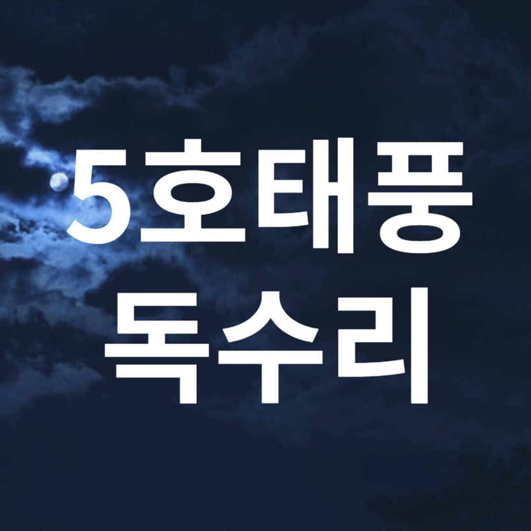 5호태풍독수리