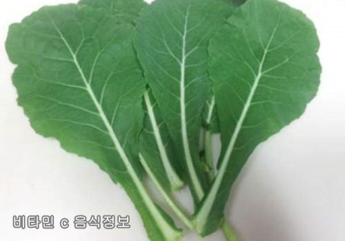  비타민C 음식