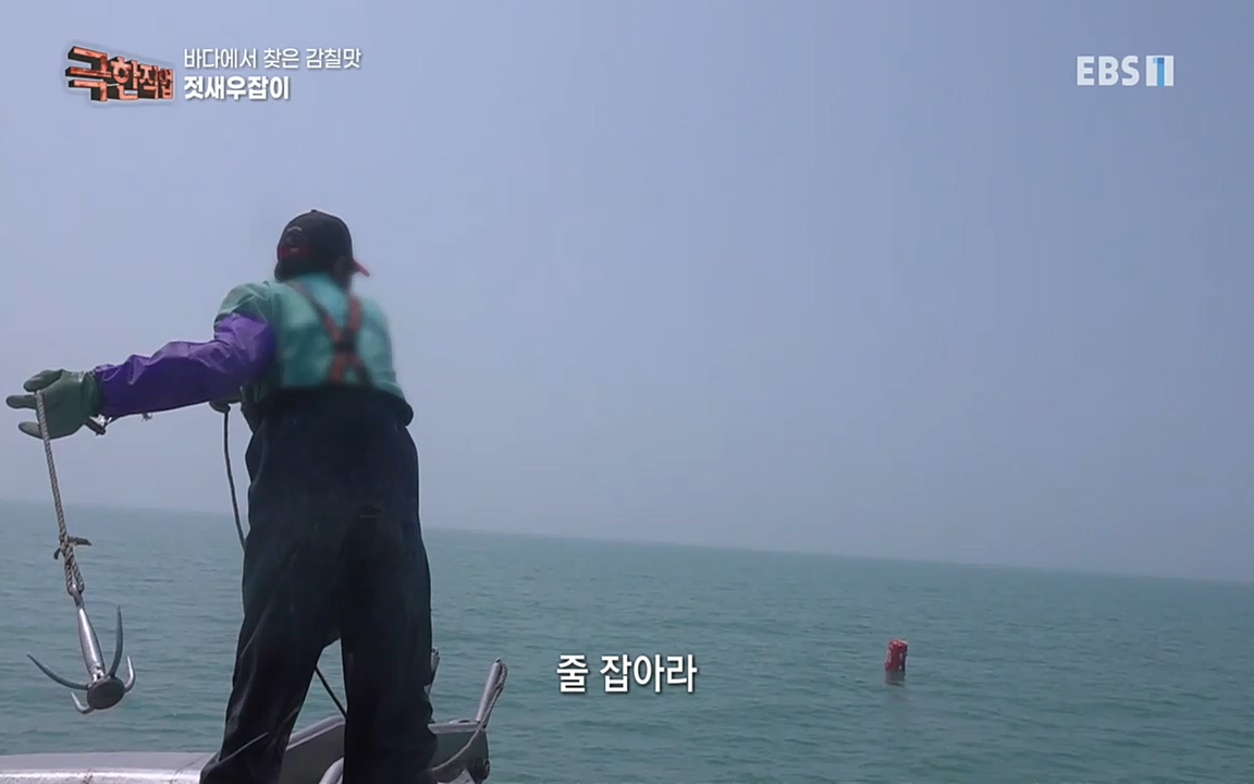 TV - 교육의 중심 EBS바다에서 찾은 감칠맛 새우젓과 다시마.mp4_20220717_175001.665.jpg