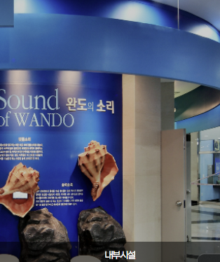 6시 내고향 완도편 총정리