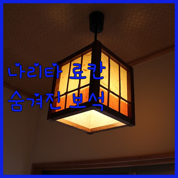 나리타 공항 근처 료칸, 숨겨진 보석