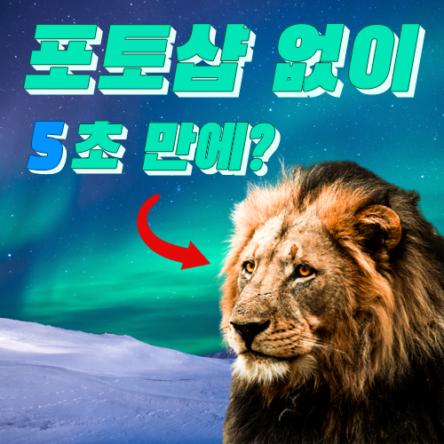  어도비 포토샵 누끼 따기 없이 5초 만에 무료로 이미지 사진 배경을 지워주는 사이트