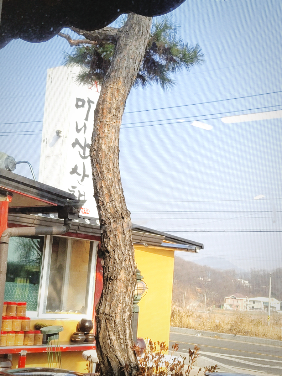 빙어축제 / 마니산 산채 맛집 19