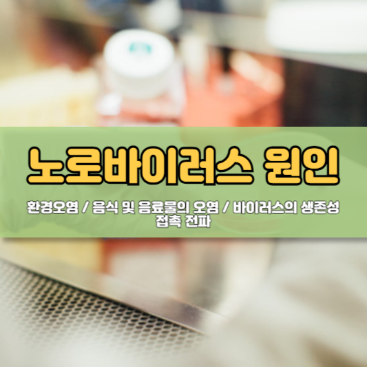 노로바이러스 원인, 증상, 치료, 예방법, 전염, 검사방법, 그리고 장염에 좋은 음식