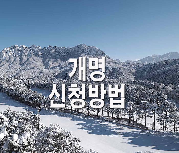  개명신청방법(+필요서류, 대한민국 법원 전자소송 홈페이지)