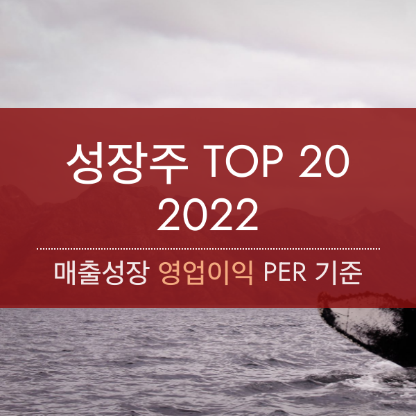 피터린치 투자 스타일 종목 선정 TOP20 (2022.12.01 기준)