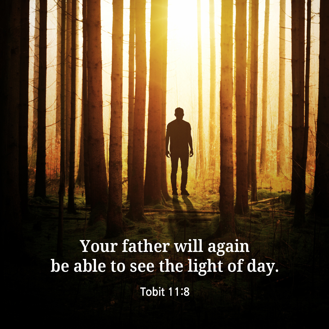 Your father will again be able to see the light of day. (Tobit 11:8)