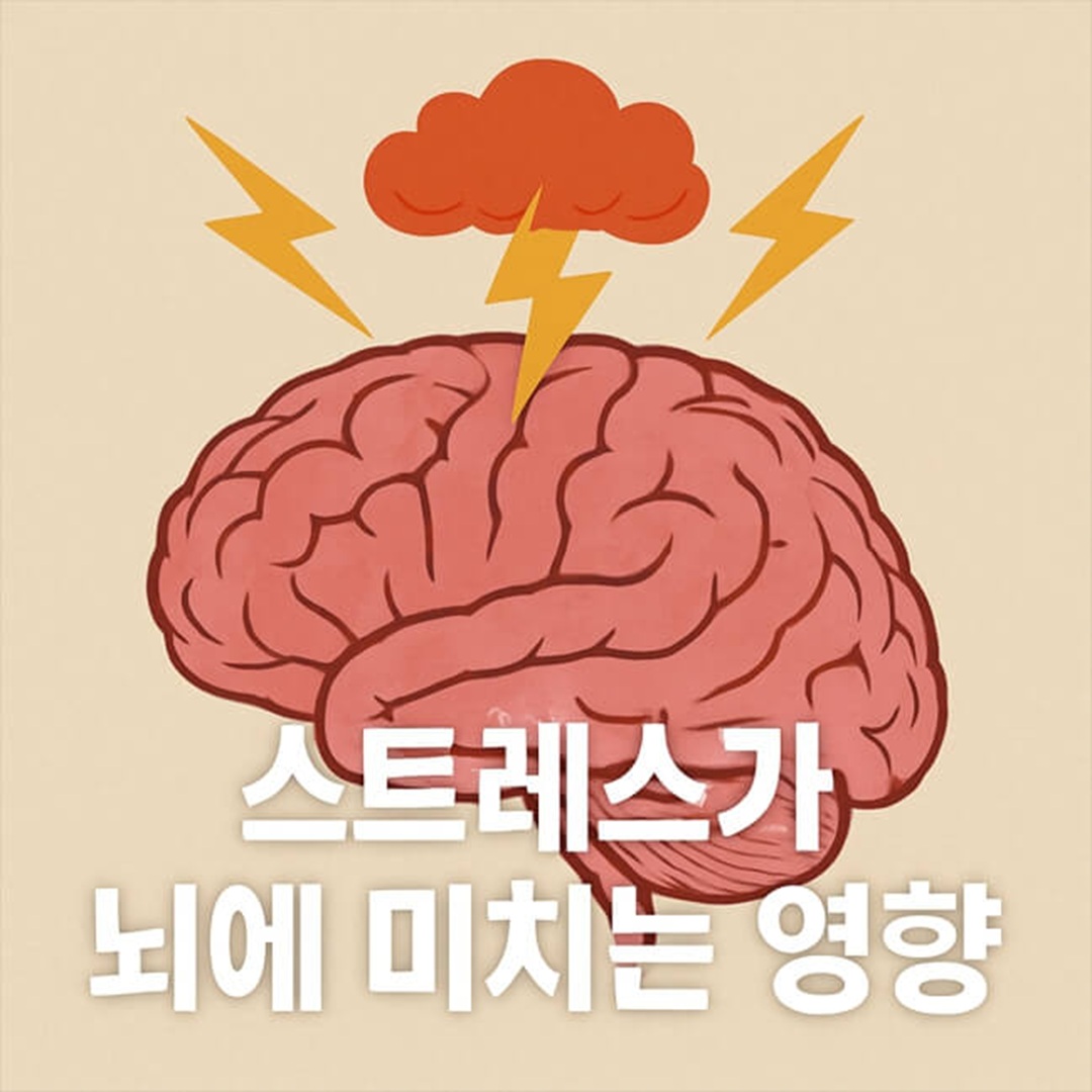 스트레스가 뇌에 미치는 영향 나를 지키는 일