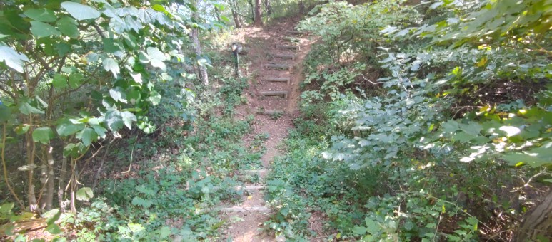 제진검문소 - 통일전망대 출입신고소 해파랑길 50코스 : 21