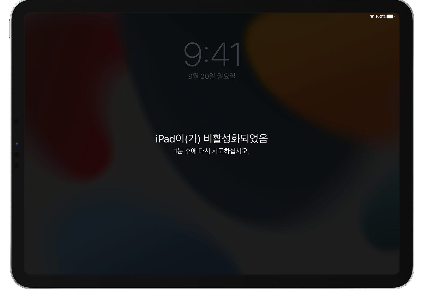  아이패드 ipad 암호 찾기